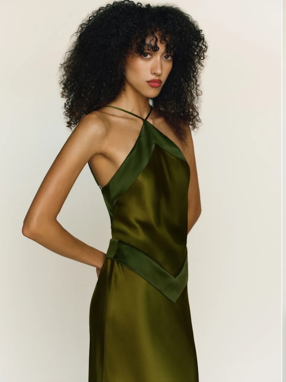 VIRAL Reformation Jillian Silk Dress